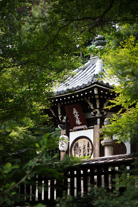 MANPUKUJI_UJI-1