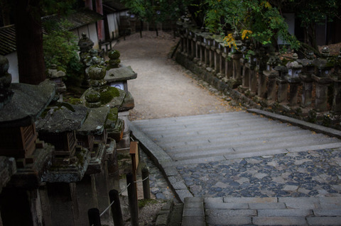 Kasuga_Taisha-6