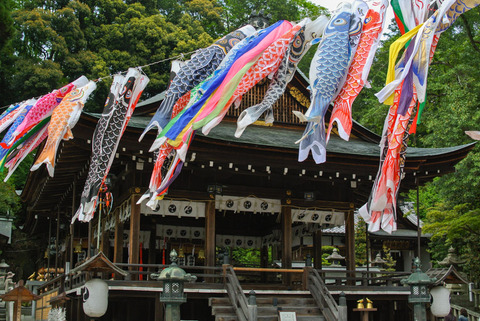 OHMI_HACHIMAN3-12