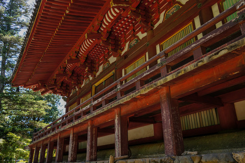 TAKAO_JINGOJI-08724