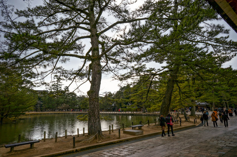 TODAIJI_TEMPLE-5