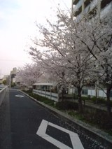 a08e99d6.jpg
