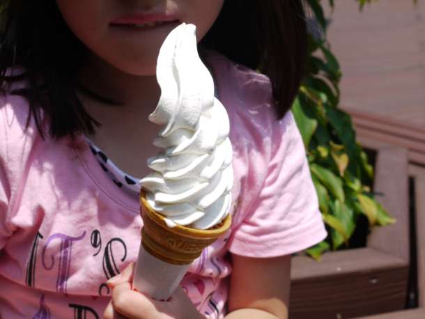 20100607_R2004