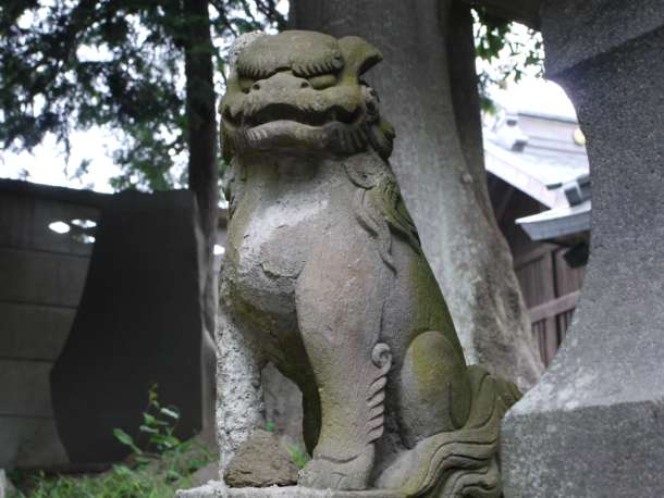 20100529_R2008