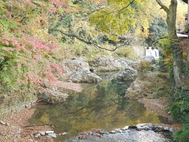 20101130011