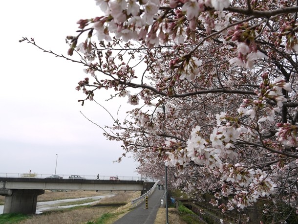 20110407002