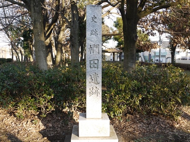 20101231002