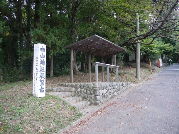 20101103019