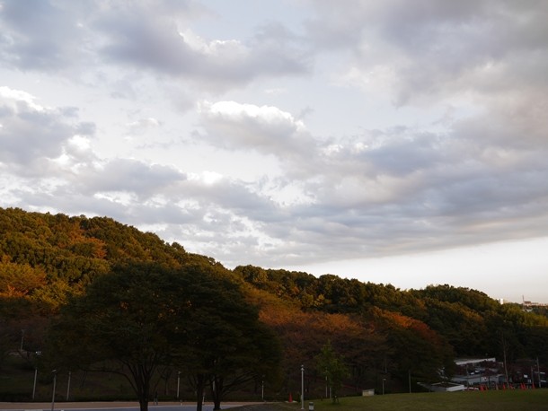20101103_2_014