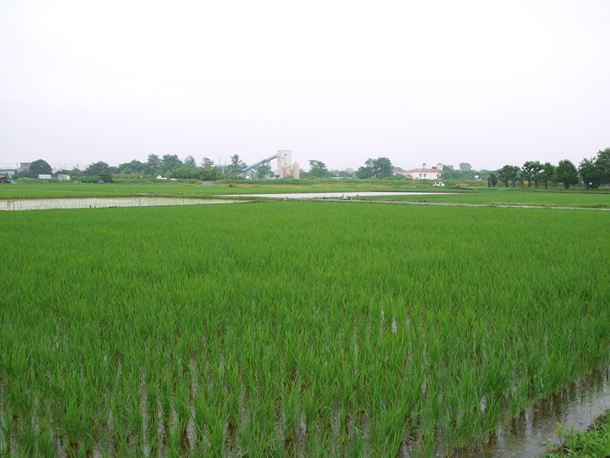 20100724003