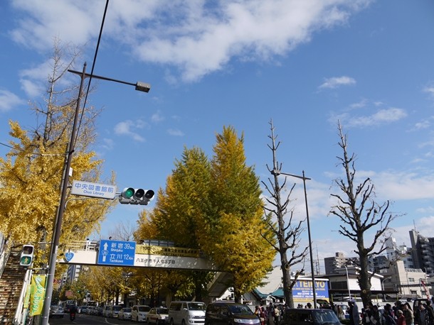 20101120011