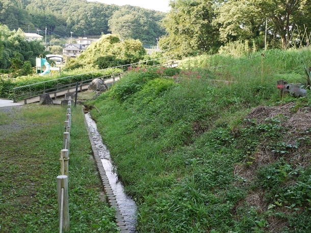 20101014015