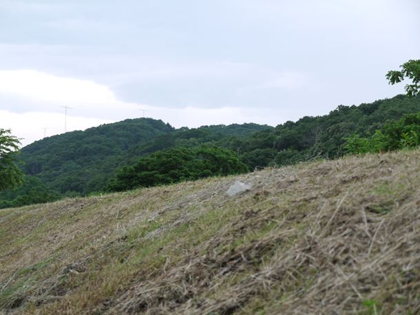 20100715__3012