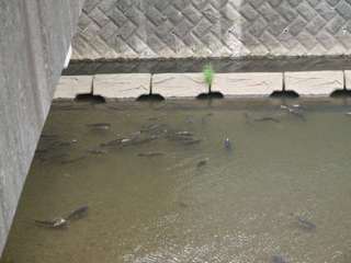 20100527_R2003