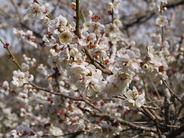 20110326_2006