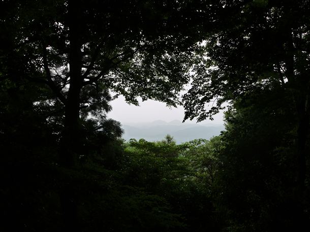 20100704_002_016