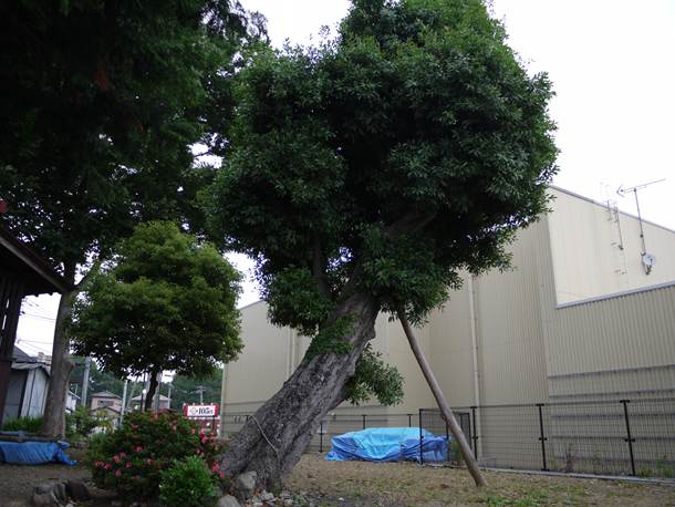 20100628003