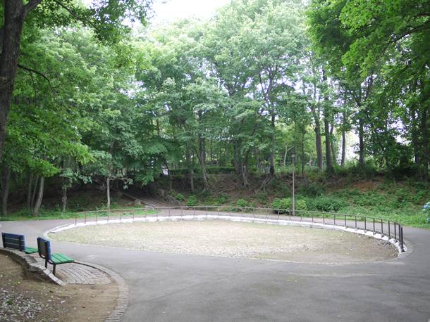 201006243002