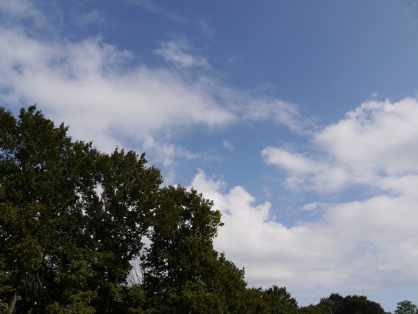 20101014010