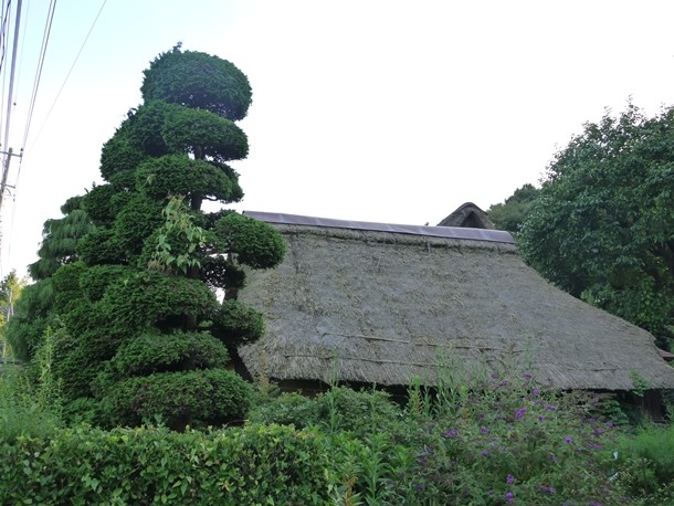 20100928002