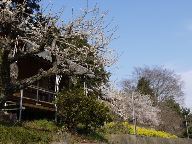 20110327002