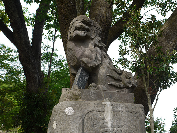 P1060854