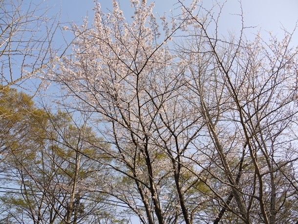 20110501005