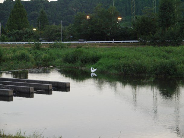 20100903005