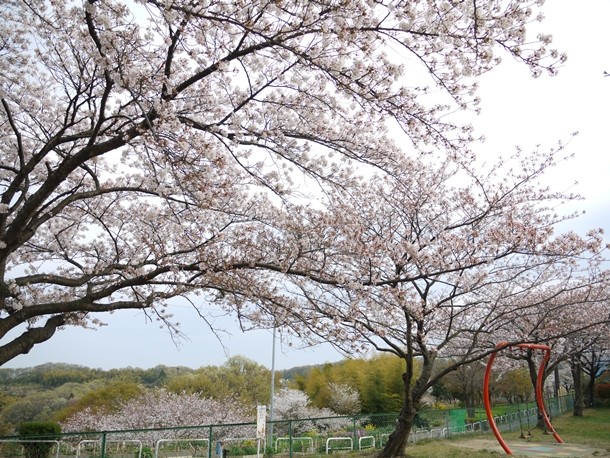 20110424007