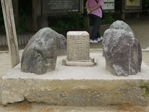 20100711007
