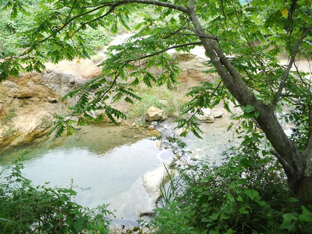 20100715__3004