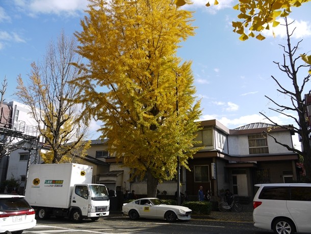 20101120010