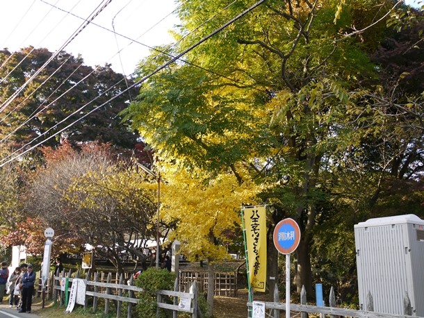 20101130005