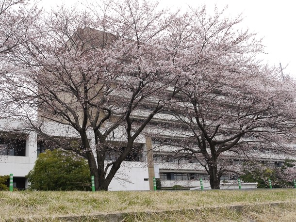 20110409004