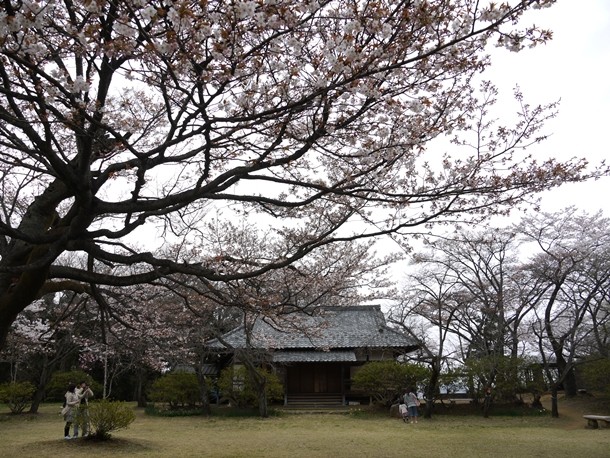 20110419015