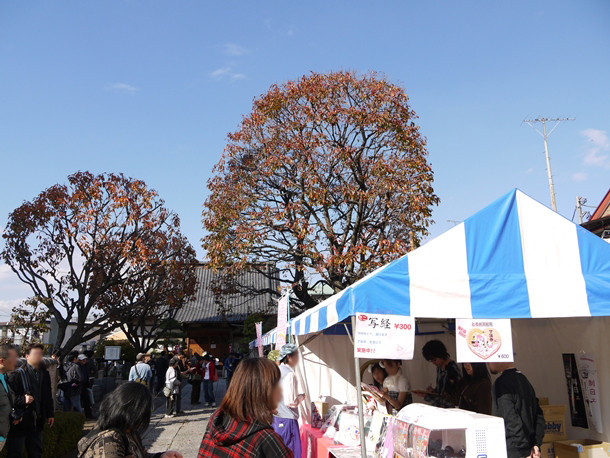 20101123002