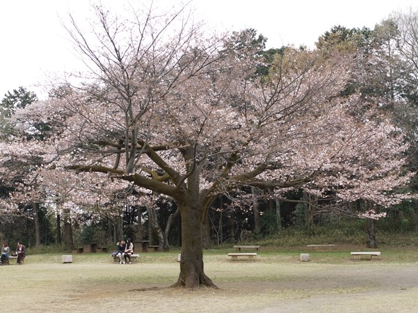 20110419009