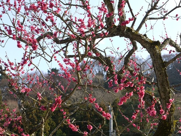 20110327014
