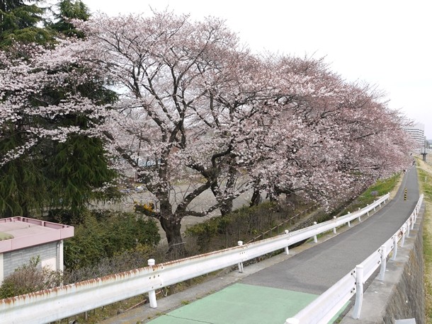 20110407005
