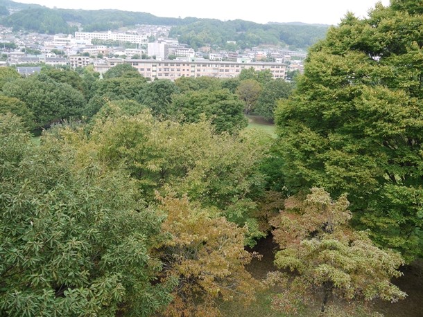 20100921008