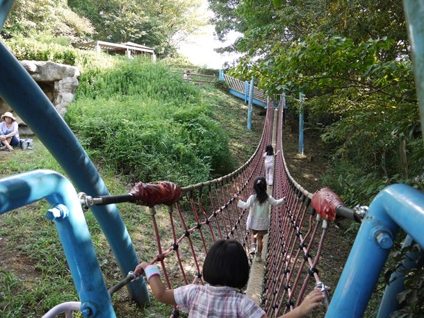 20101014007