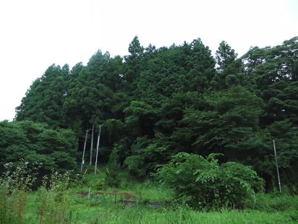 20100816002