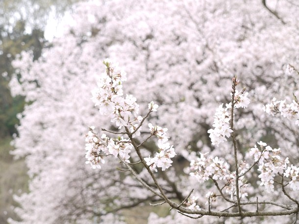 20110418005
