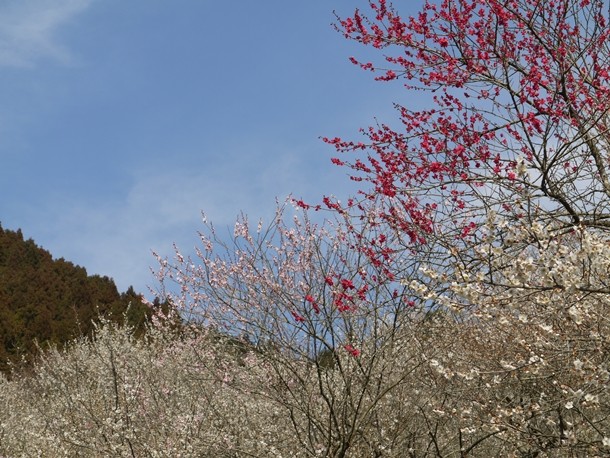20110326_2004