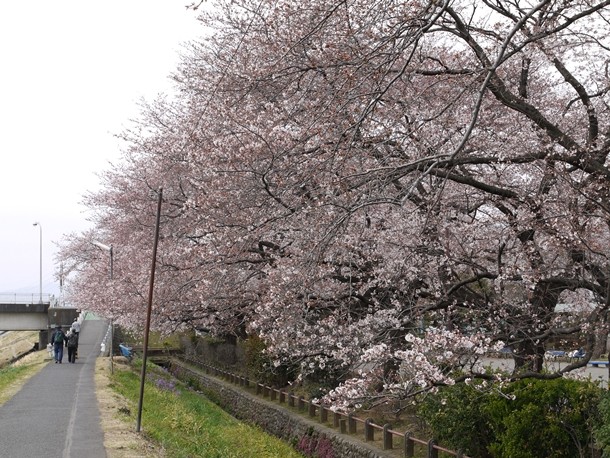 20110407001