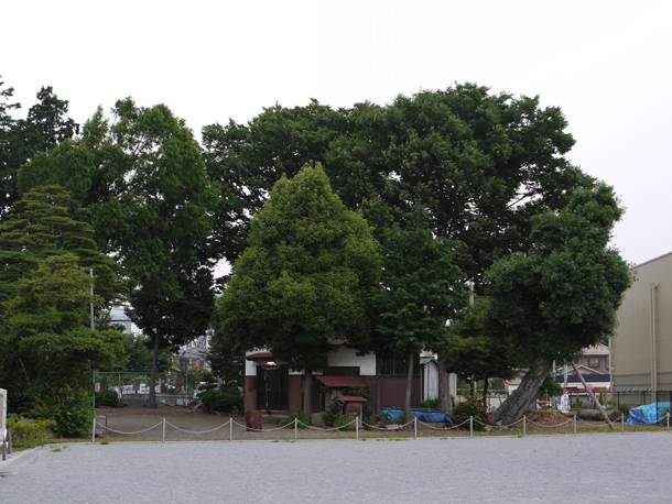 20100628001