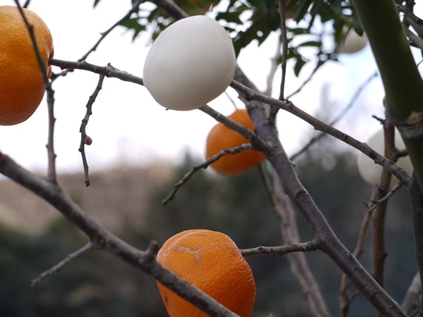 20110118004