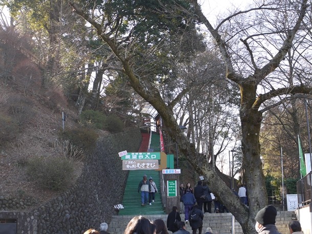20110203006