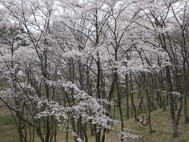 20110421009
