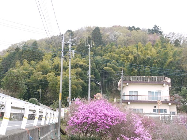 20110418006